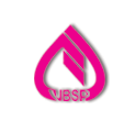 VBSP